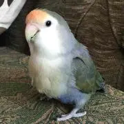 Moko&Chiko プロフご確認下さい