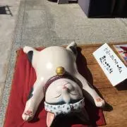 牛車⚠️代理業者様ご遠慮下さいの画像