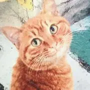 みるくの画像