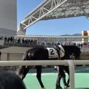競馬大好き野郎の画像