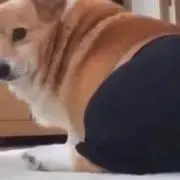 みんなの味方(* • ω • )b