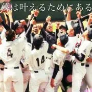 高校野球ファン