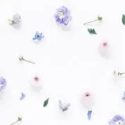 KuMaの画像