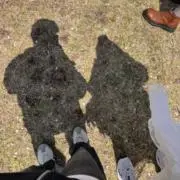 ディック