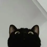 eの画像