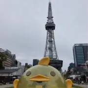 momoの画像