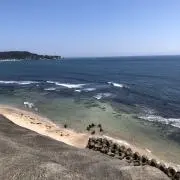 ヒミタンの画像