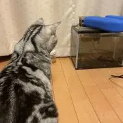 もこの画像