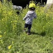 うさぎ