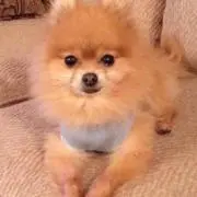 Minaの画像