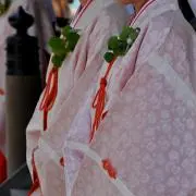 雅神紫乃(みやがみしの)