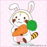 gerberaの画像