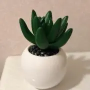 ルビー