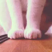 いち｜ゆうゆう⇆らくらく
