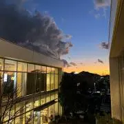 ぴるど