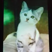 ナナパパ　［コメント下さい♪♪］の画像