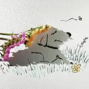 ayの画像