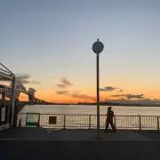コバヤシ