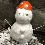 ぷりんま
