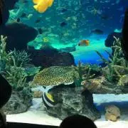 みぃみの画像