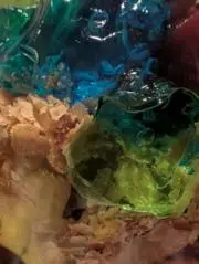 ゆだの画像