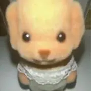 ୨୧の画像