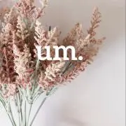 um.の画像