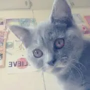 みぽりん