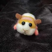 ぽんぽんねっと☆の画像