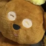 くまの画像