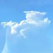 レイチェルの画像