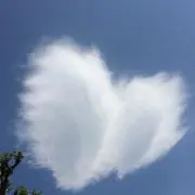 スカイ♡の画像