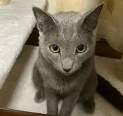 キャサリン