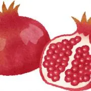 lemonの画像