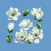 ほたる❁プロフ必読願います