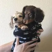 AMの画像