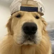 アタシの私物事情の画像