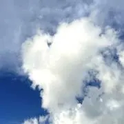 にしくらの画像