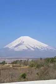 富士ブレインの画像