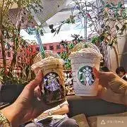 カフェの画像