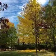 家断捨離中⭐︎の画像