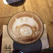 はなちゃんの画像