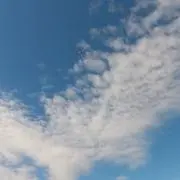 くまくまの画像