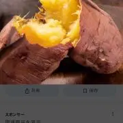 キノピー