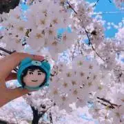 むちまるの画像