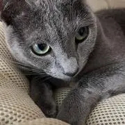 まるの画像