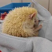 うー 送料値引きキャンペーン中！の画像