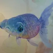 Yumの画像
