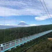 cyama