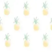 Y6の画像